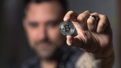 gocryptobet s rising acclaim